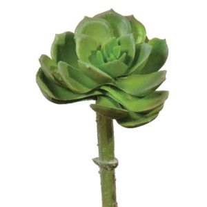 Real Touch Echeveria Pick 5