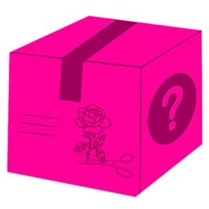 Mystery Pack- 10 Floral or Greenery Cuttings - Multi