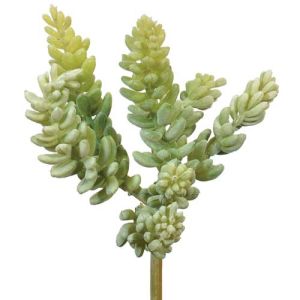 Real Touch Sedum Pick 7.5