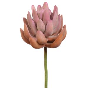 Real Touch Senecio Succulent Pick 6.5