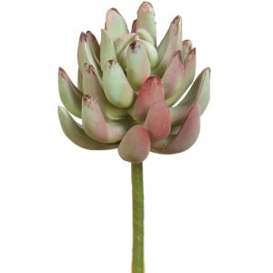 Real Touch Senecio Succulent Pick 6.5