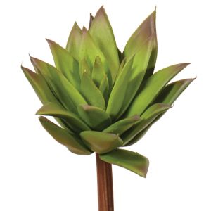Real Touch Succulent Pick 6