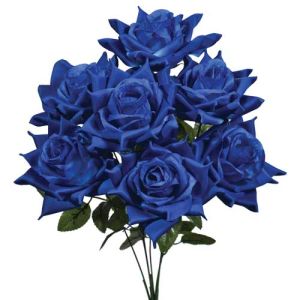May Rose Bush x7, 19
