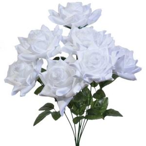 May Rose Bush x7, 19