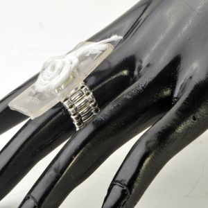 Silver Design Ring in 2 piece package- Small Image 