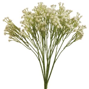 Gypsophila Bush x7, 15