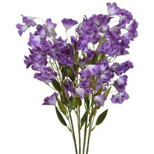 Bellflower Bush x4, 21