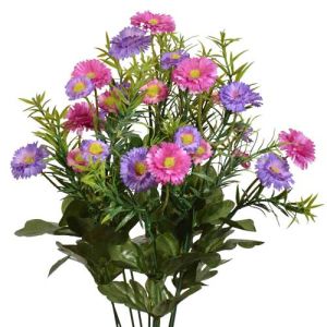 Mini Daisy Bush x12, 17.5