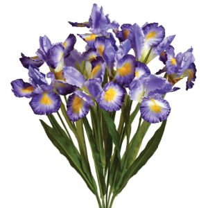 Iris Bush x9, 22