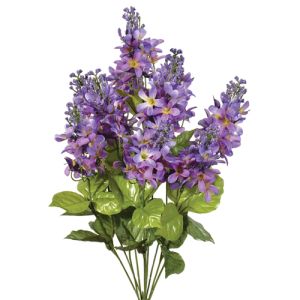 Lilac Bush x10, 20.5