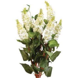 Italian Lilac Bush x7, 23