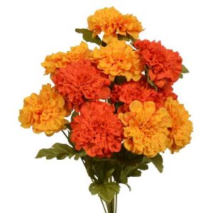 Marigold Bush x11, 18
