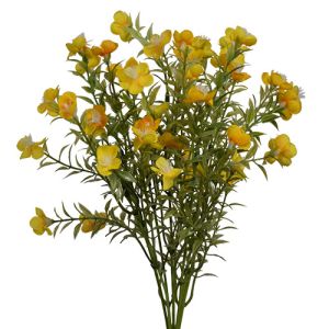 Waxflower Bush x7, 13.75