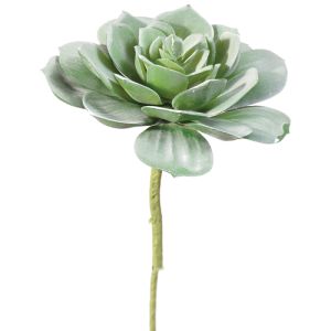 Echeveria Bouquet Pick 9.5