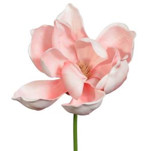 Real Touch Magnolia Pick 10