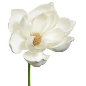 Real Touch Magnolia Pick 10