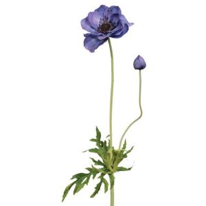 Anemone Spray w/Bud 25
