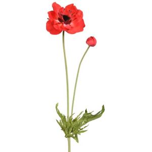 Anemone Spray w/Bud 25