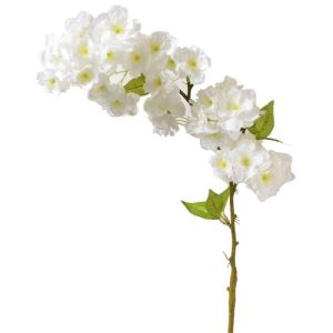 Cherry Blossom Spray 31