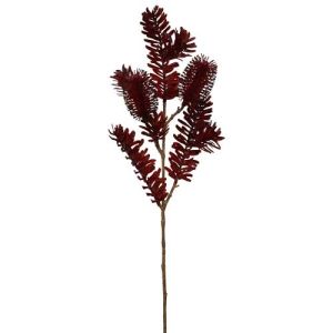 Banksia Spray 26