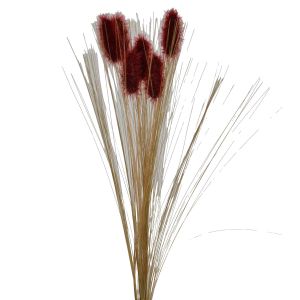 Bunny Tail & Grass Spray 19