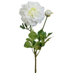Dahlia Spray w/Bud x2, 24