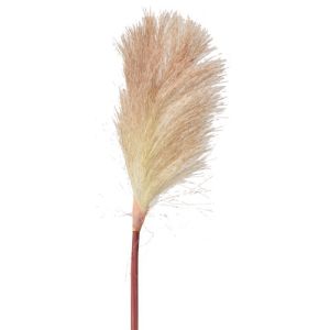 Pampas Grass Stem 19