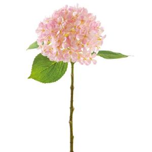 Special Order: UV-Protected Hydrangea Stem 18