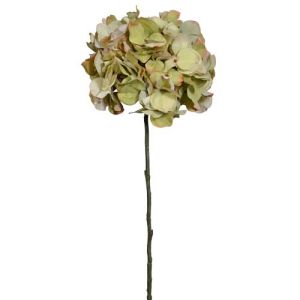 Premium Hydrangea Stem 30