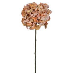 Premium Hydrangea Stem 30
