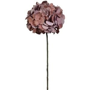Premium Hydrangea Stem 30