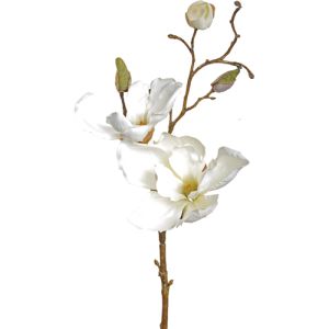 Silk Magnolia Spray 19 Inches in Cream - Small Image