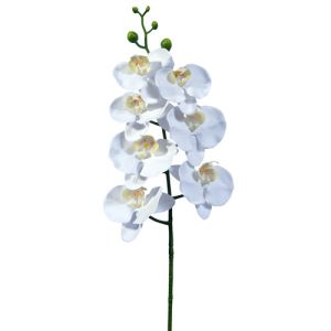 Phalaenopsis Orchid Spray 34.5