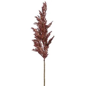Pampas Grass Spray 25