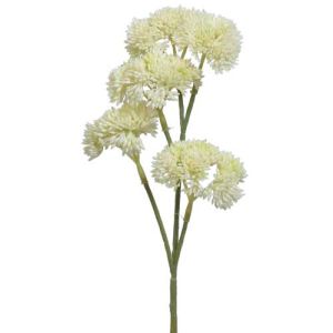 Sedum Spray 12