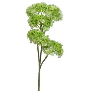 Sedum Spray 12