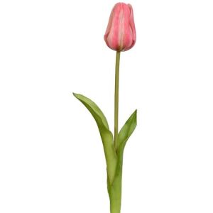Real Touch Tulip Stem 19