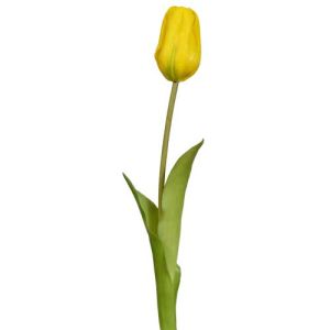 Real Touch Tulip Stem 19