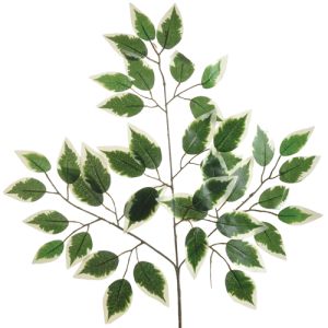 Value Ficus Spray in Green/White - Small Image
