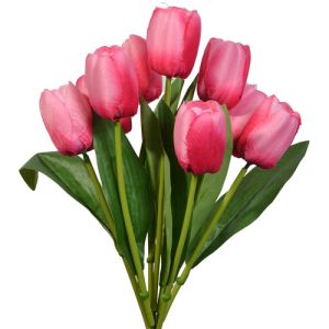 Value Tulip Bush x9, 16