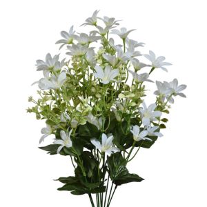 Blossom Bush x12, 22