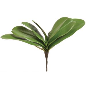 Soft Phalaenopsis Leaf Silk Plan 10 Inches in Green - Small Image