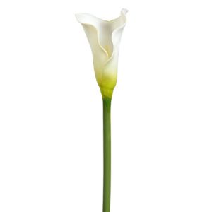 Calla Lily Stem 30.5