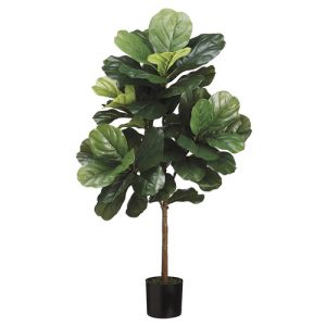 Special Order: Fiddle Leaf Tree in Plastic Pot 3' - Green