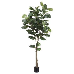 Fiddle Leaf Tree in Plastic Pot 5' - Green