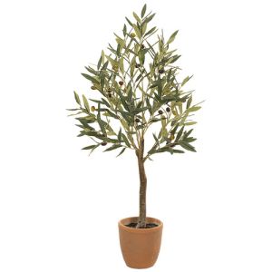 Special Order: Olive Tree in Cement Pot 41