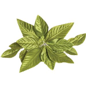 Corsage Back 3 Piece Package in Moss Green - Small Image