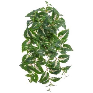 UV-Protected Hanging Coleus Bush x10, 25