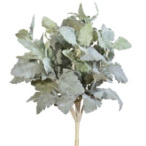 Dusty Miller Bush in Green - Small Image