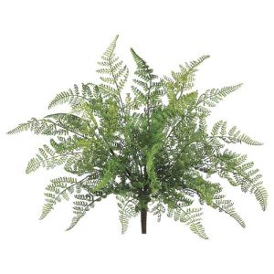 UV-Protected Leather Leaf Fern Bush x7, 17